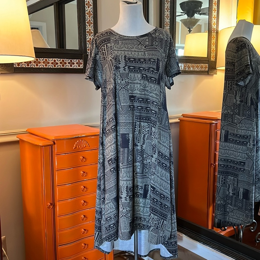 LuLaRoe Carly Swing Dress